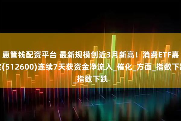 惠管钱配资平台 最新规模创近3月新高！消费ETF嘉实(512600)连续7天获资金净流入_催化_方面_指数下跌