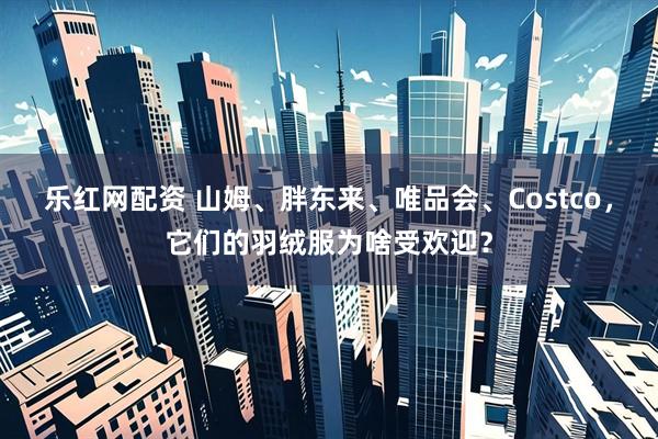 乐红网配资 山姆、胖东来、唯品会、Costco，它们的羽绒服为啥受欢迎？