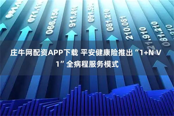 庄牛网配资APP下载 平安健康险推出“1+N V 1”全病程服务模式