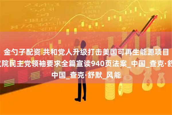 金勺子配资 共和党人升级打击美国可再生能源项目，美参议院民主党领袖要求全篇宣读940页法案_中国_查克·舒默_风能