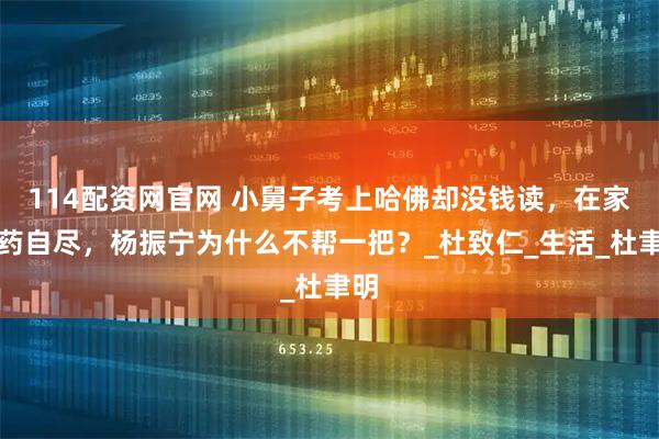 114配资网官网 小舅子考上哈佛却没钱读，在家服药自尽，杨振宁为什么不帮一把？_杜致仁_生活_杜聿明