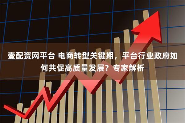 壹配资网平台 电商转型关键期，平台行业政府如何共促高质量发展？专家解析
